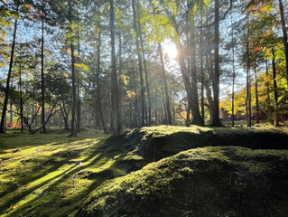 京都 西芳寺