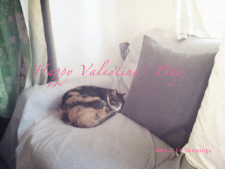 Happy Valentine's day ♡ ‪