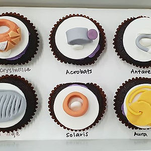Highly customised cupcakes