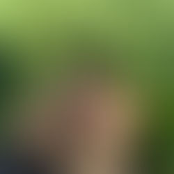 The Mechanics of Soil