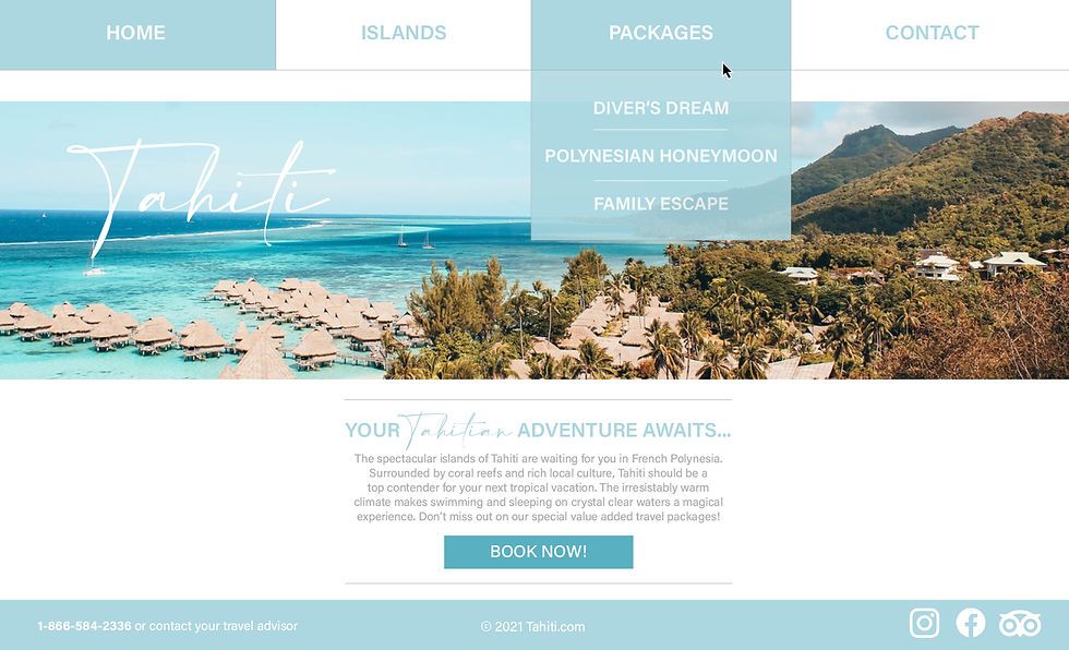 Tourism Web Design_Renee Boucher_25NOV2021.jpg