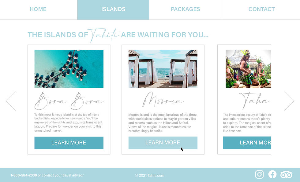 Tourism Web Design_Renee Boucher_25NOV20212.jpg