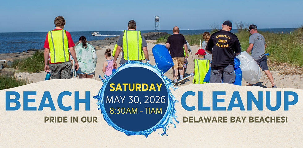 LTHYC Annual Beach Cleanup