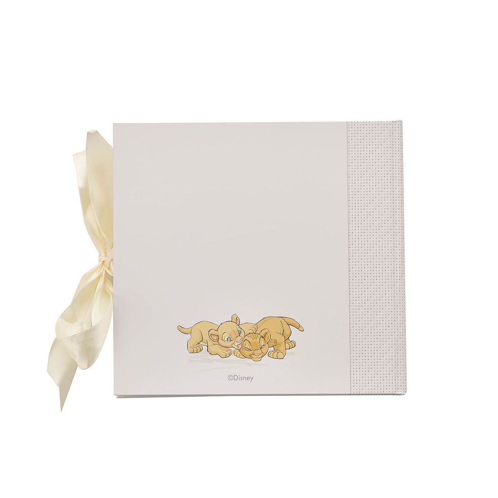 Miniature : Album Photo Disney Magical Beginnings Simba