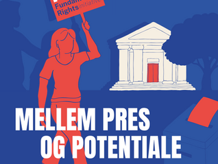 NE bag ny stor undersøgelse: Rettigheder på papiret er udfordret i praksis