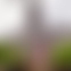 Demokratiet blev ikke født på Christiansborg 