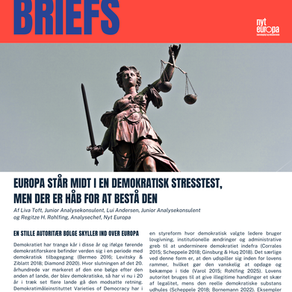 Analyse: Europa står midt i en demokratisk stresstest, men der er håb for at bestå den