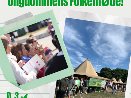 Nyt Europa på Ungdommens Folkemøde!