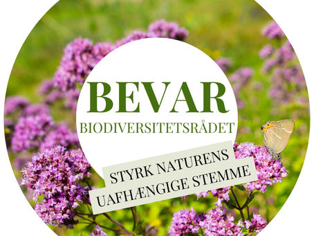 Grønne NGO'er bakker op om Biodiversitetsrådets anbefalinger: 30 % af DK skal være beskyttet natur