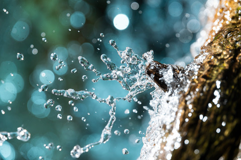 木から水飛沫が飛び散る様子
背景はエメラルドブルー