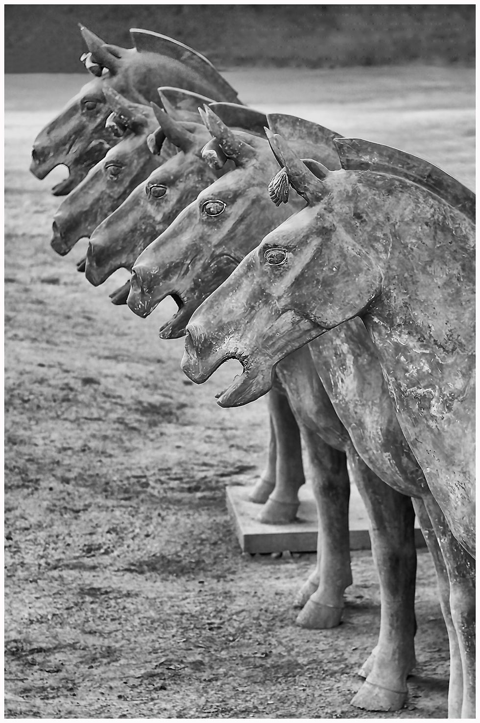 Terracotta Horses