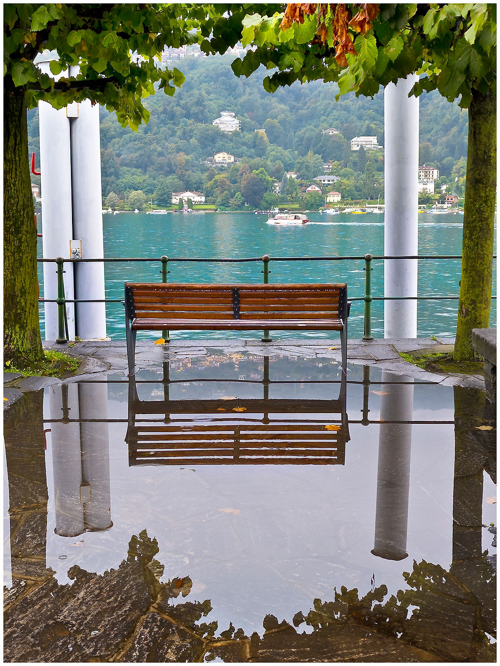 After the rain