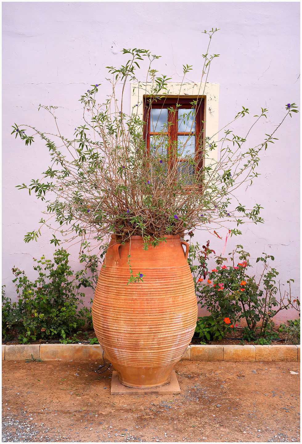 Cretan Pot