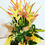 Miniatură: Buchet urias cu Heliconia