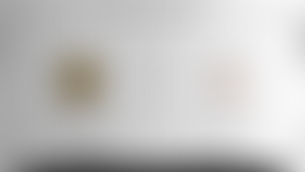 Partnership with Jungle Book Crypto