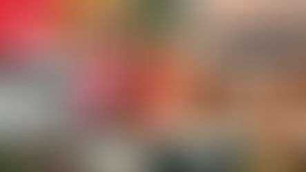 11/2(六)|萬金杜鵑-秋季花開饗宴