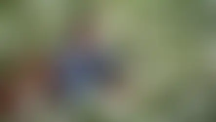 賞萬金杜鵑 5場職人體驗遊程報名