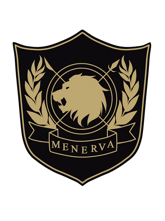 サプライズプレゼント Overidea サプライズプレゼント Overidea