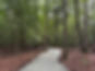 IMG_1284.jpeg