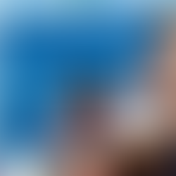 Selfies with dolphin on thunder speeds dolphin discovery tour in hurghada