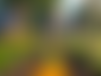 Join Us: Volunteering Opportunities at RTLA