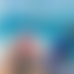 Dolphin Private Speedboat Trip