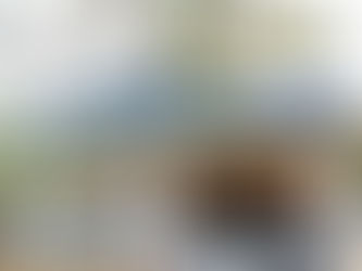 విచారణలన్నీ వృథాయేనా?