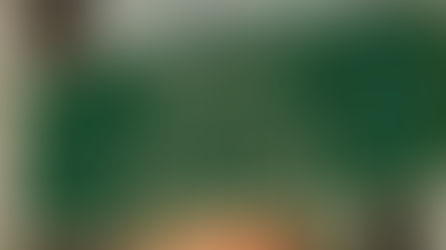 వ్యవస్థకే వైకల్యం..నకిలీలదే రాజ్యం!