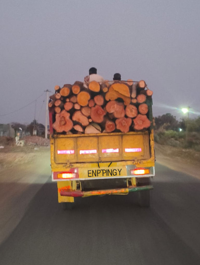 కలపకు కాళ్లొస్తున్నాయ్!