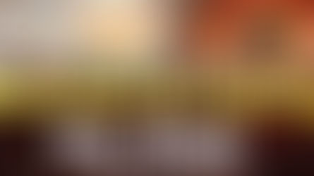 ఉత్తరాదిని మనం ఎన్నాళ్లు మోయాలి?