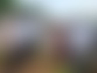 బలగ రజకులకు అండగా ఉంటాం: గేదెల