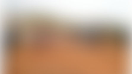 వస్తున్నారయ్యో.. ‘గజ’మేతగాళ్లు!