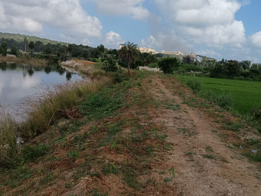 చెరువులు రాసిచ్చేశారోచ్!