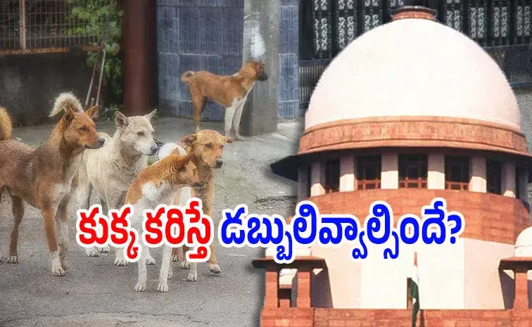 కుక్కకాటుకు ‘సుప్రీం’ చెప్పుదెబ్బ!