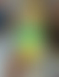 పండగలొచ్చాయ్.. పదండి తనిఖీకి