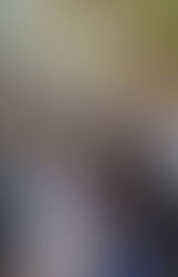 ‘గురజాడ’లో అశ్లీల మార్ఫింగ్ జాడ