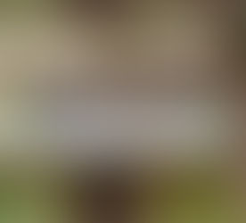 వికృత చేష్టల్లో వారు మాస్టర్లు!