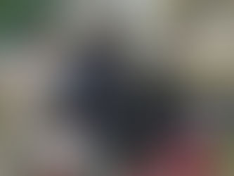 ఇక్కడ ఎవ్వరికీ బాధ్యత లేదు!