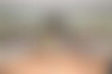 కరడుగట్టిన నేరస్తుడు దున్న కృష్ణ అరెస్టు