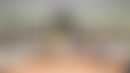 కరడుగట్టిన నేరస్తుడు దున్న కృష్ణ అరెస్టు