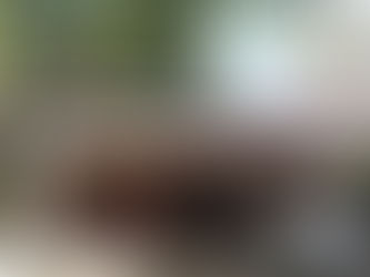 ‘స్థానిక’ ప్రతినిధులపై సిరికన్ను!