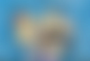 సిక్కోలు పేకాట.. కేరాఫ్ రాణిపేట