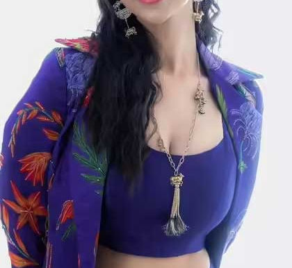 సుశాంత్‌తో మీనాక్షి పెళ్లి..? 