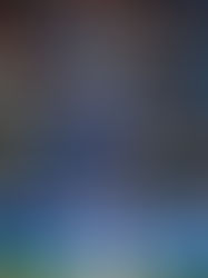 క్రికెట్ ఇంద్రజాలికులు