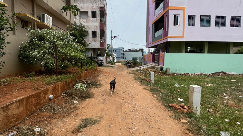 నాటకాలాడుతున్నారా?
