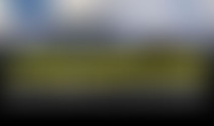 పెద్దన్న దన్నుతోనే చిట్టెలుక చిందులు!