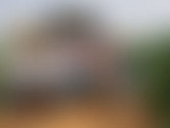 ఆగని అక్రమాలు.. అడిగితే దాడులు!