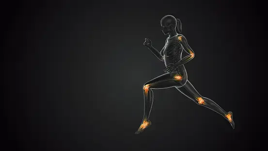 drawing with joints highlighted