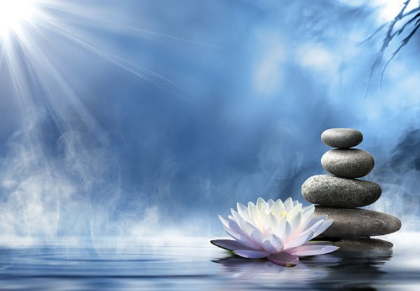 lotus and kairn_edited.jpg