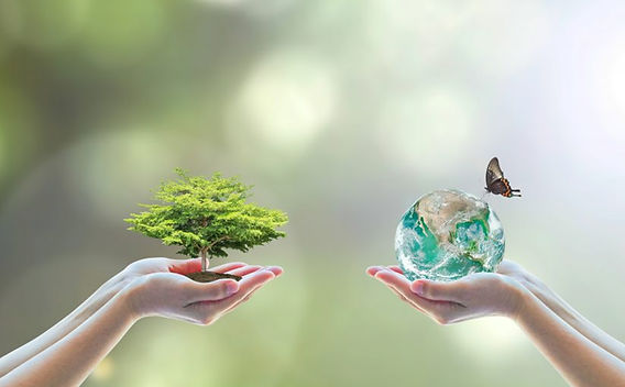 30 gestes écologiques pour protéger notre planète